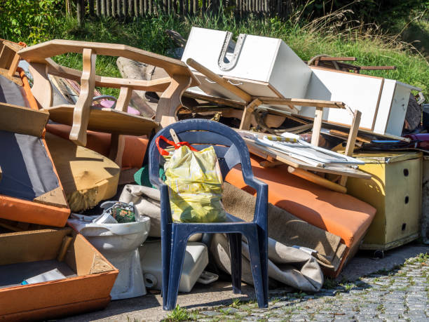 Best Professional Junk Removal  in Romney, WV
