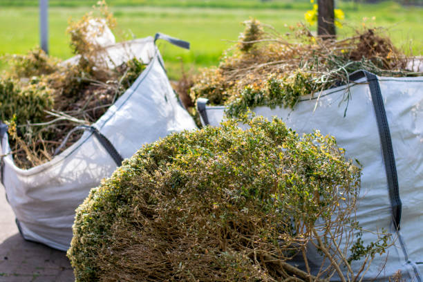 Best Mattress Removal Service  in Romney, WV