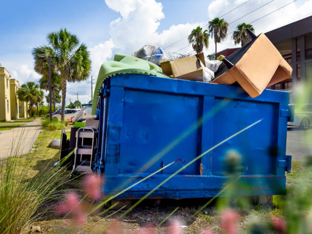 Best Junk Hauling Services  in Romney, WV